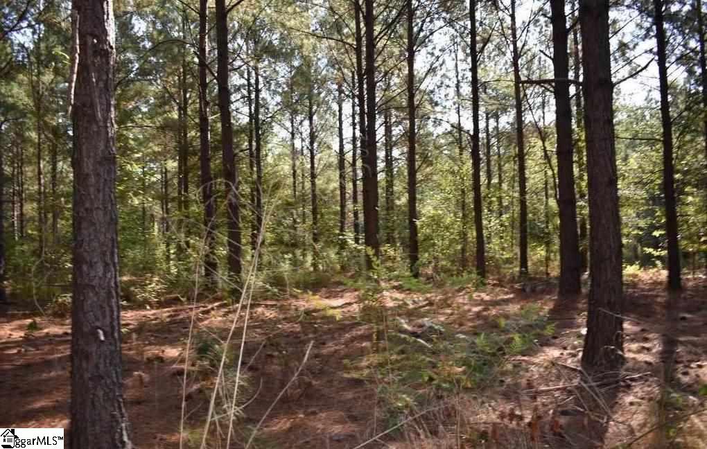 545 Bramlett Road, Unit LOT 1 Laurens, SC 29360 - Photo 29 of 33 Gallery Image 29