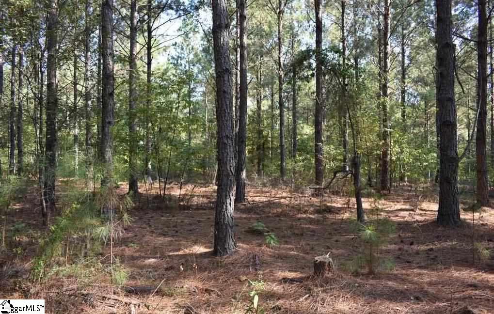 545 Bramlett Road, Unit LOT 1 Laurens, SC 29360 - Photo 30 of 33 Gallery Image 30