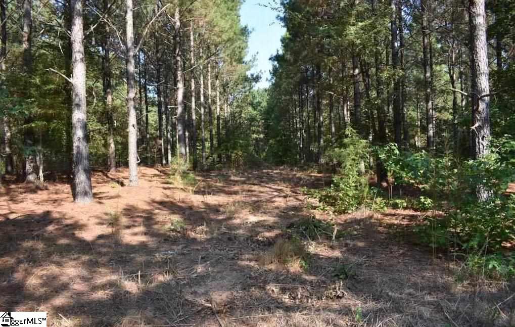545 Bramlett Road, Unit LOT 1 Laurens, SC 29360 - Photo 31 of 33 Gallery Image 31