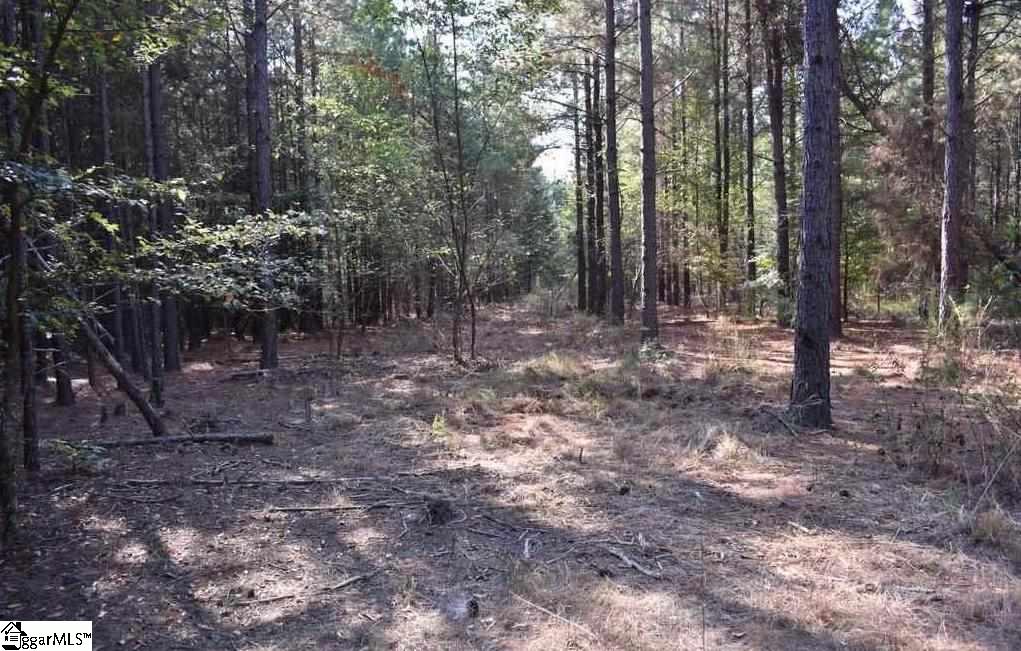 545 Bramlett Road, Unit LOT 1 Laurens, SC 29360 - Photo 32 of 33 Gallery Image 32