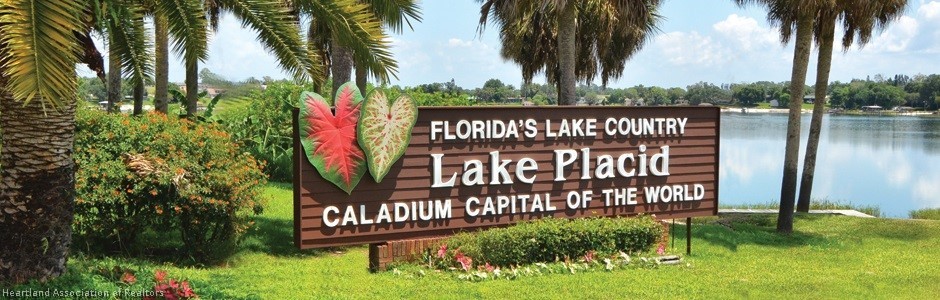 144 Lincoln Road Northwest Lake Placid, FL 33852 - Photo 18 of 19 a view of a park with plants and palm trees