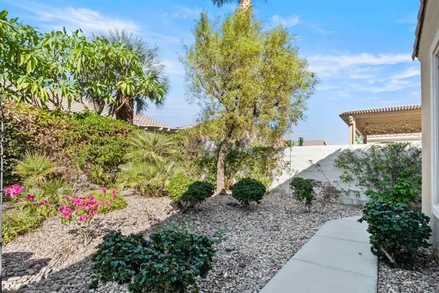 a view of a garden with plants and large trees