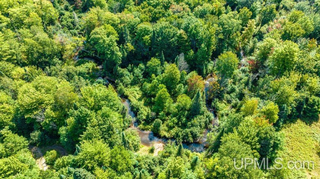 39586 Lower Worham Road Chassell, MI 49916 - Photo 65 of 74 Gallery Image 65