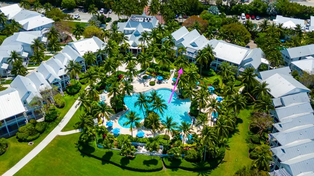 a view of a garden with plants