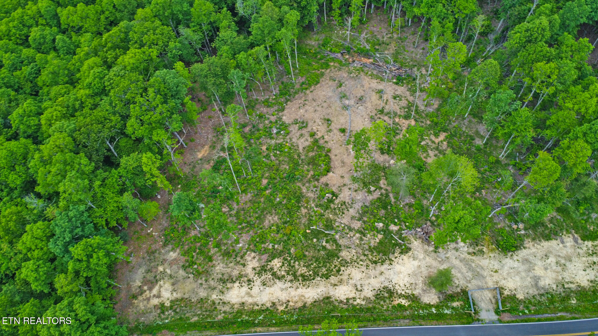 15.18-ac Mt Helen Road Allardt, TN 38504 - Photo 11 of 20 dji_0527-dji_0529