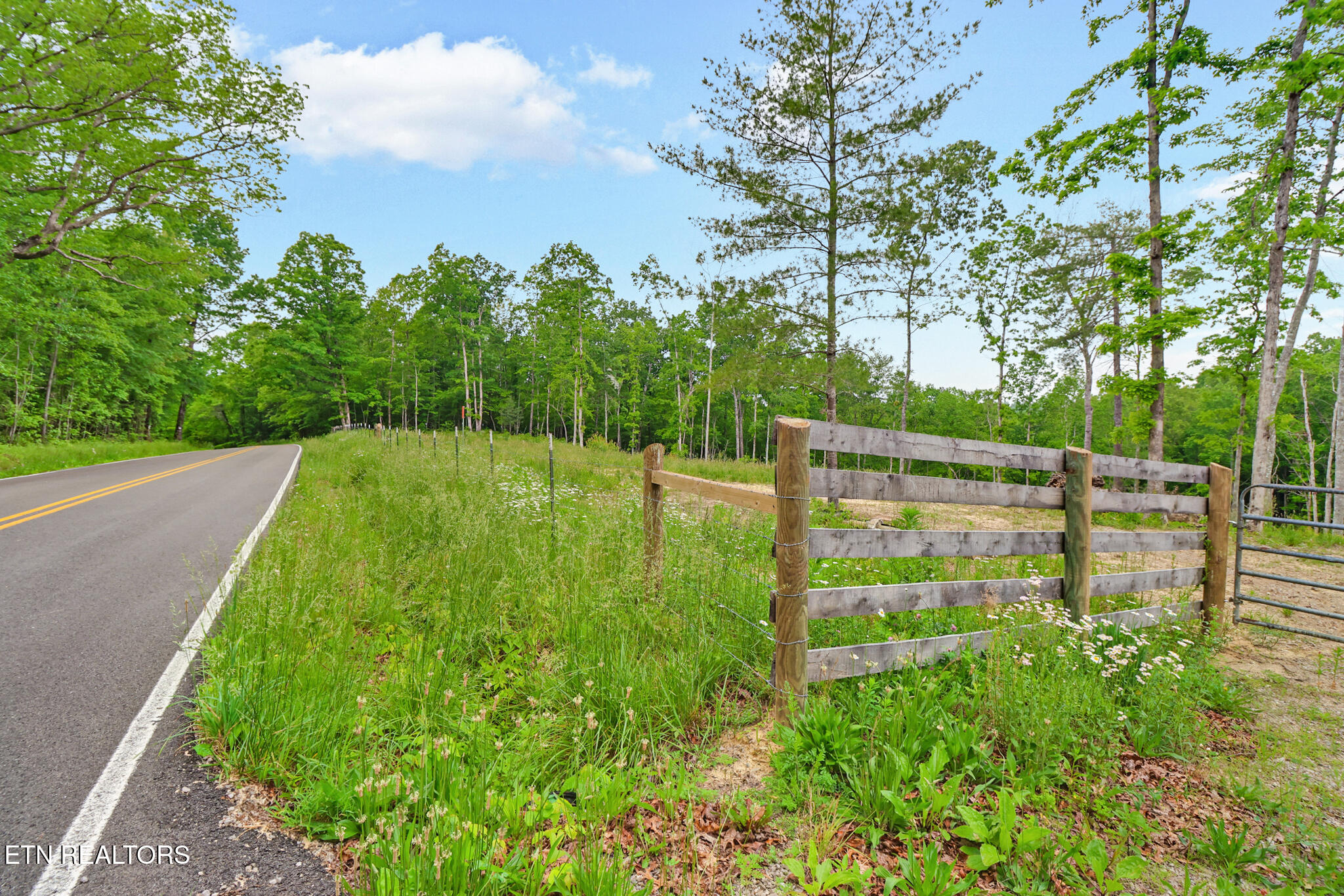 15.18-ac Mt Helen Road Allardt, TN 38504 - Photo 20 of 20 if1a9356-if1a9360