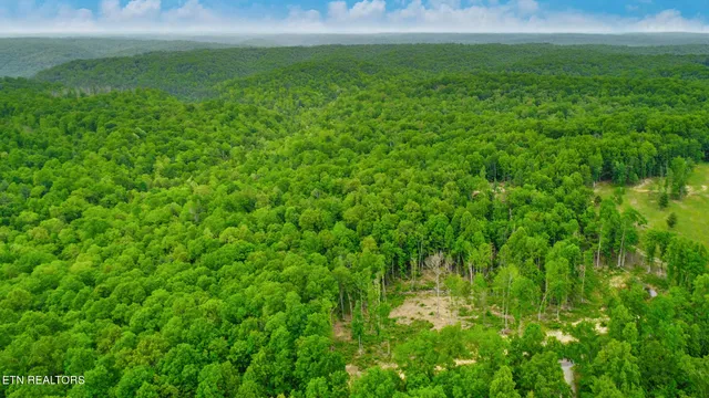 $325,000 | 15.18-ac Mt Helen Road, Allardt, TN 38504
