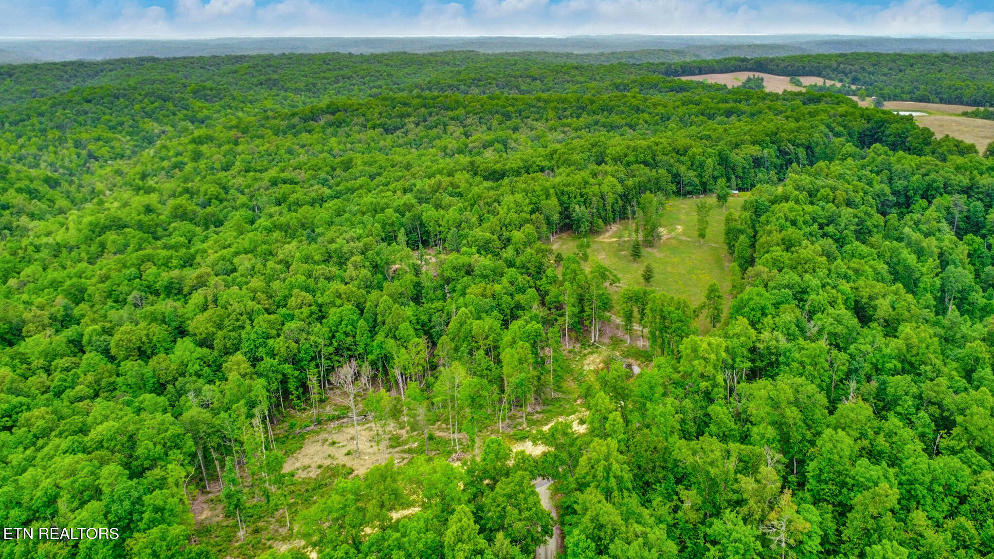 15.18-ac Mt Helen Road Allardt, TN 38504 - Photo 7 of 20 dji_0515-dji_0517