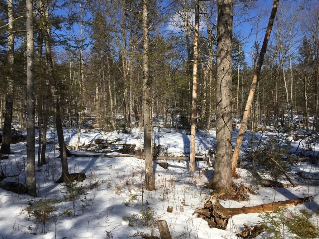2 Hanover Me 04237 Hanover, ME 04237 - Photo 17 of 30 Photo