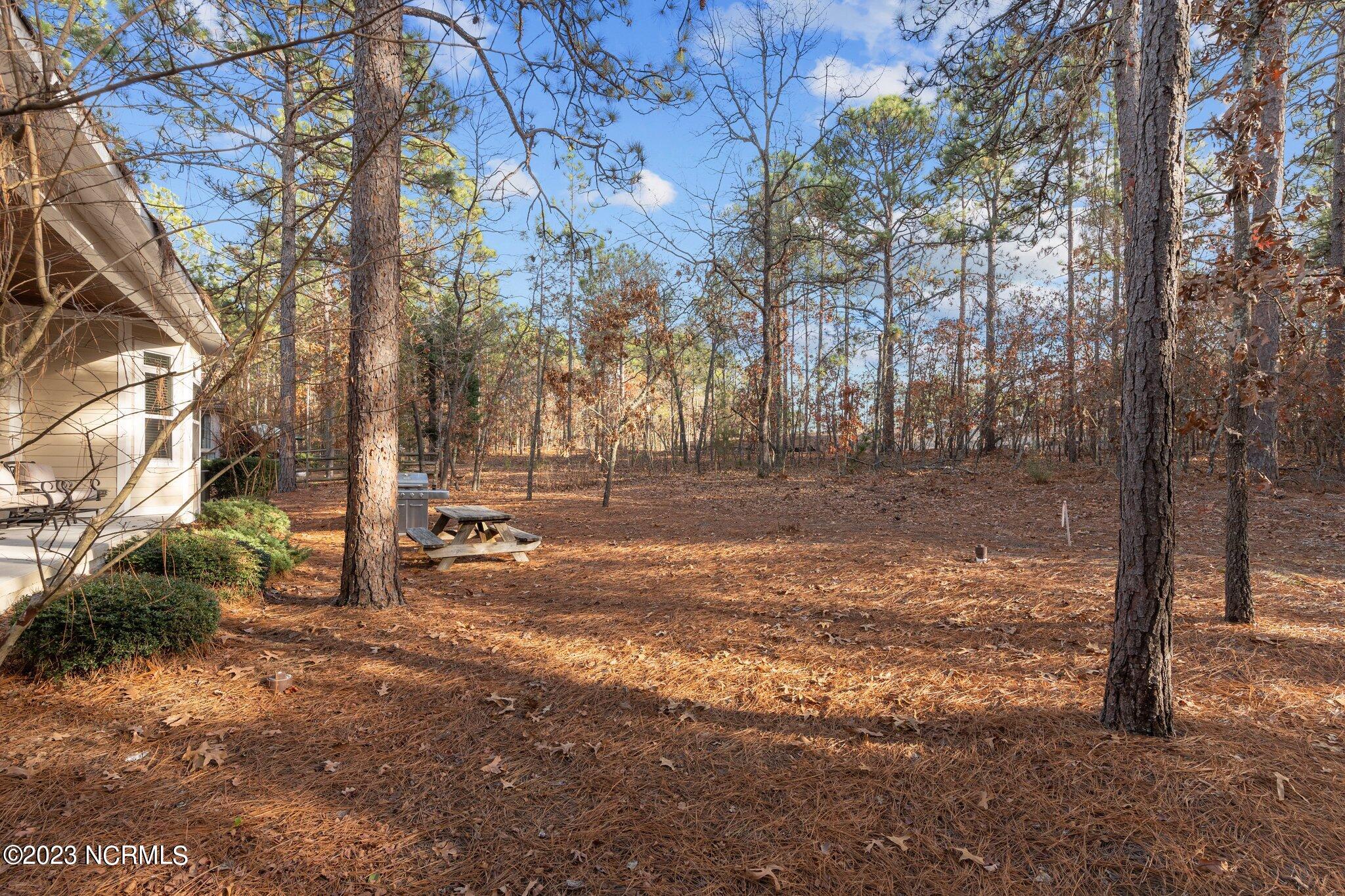 170 Lake Hills Road Pinehurst, NC 28374 - Photo 34 of 40 34-web-or-mls-707A0476