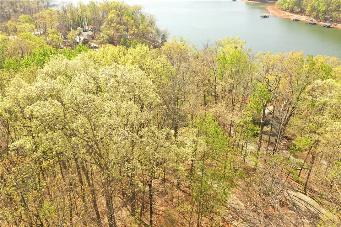 129 Middleton Drive Westminster, SC 29693 - Photo 11 of 12 This elevated view captures the expansive natural beauty of a verdant landscape bordering a tranquil lake.