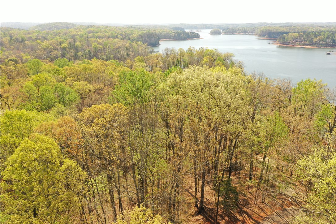 129 Middleton Drive Westminster, SC 29693 - Photo 12 of 12 Vast, verdant forest meets shimmering lake, offering tranquil, expansive natural beauty.