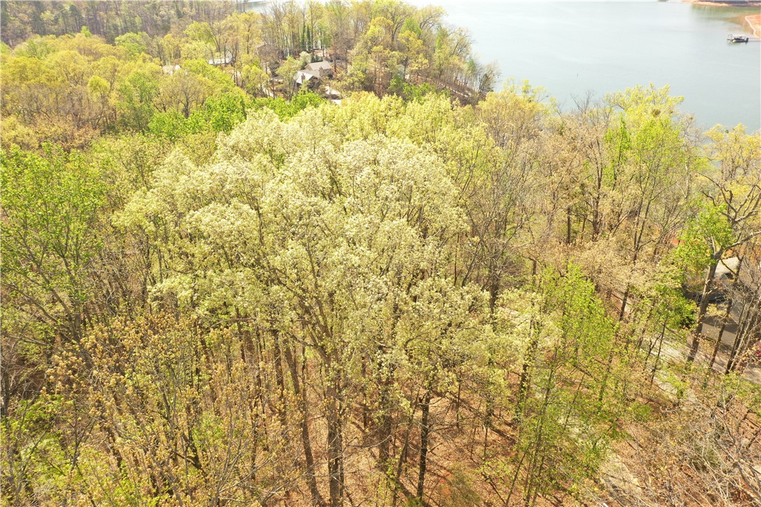 129 Middleton Drive Westminster, SC 29693 - Photo 10 of 12 This verdant woodland offers serene views of the tranquil lake and surrounding nature.