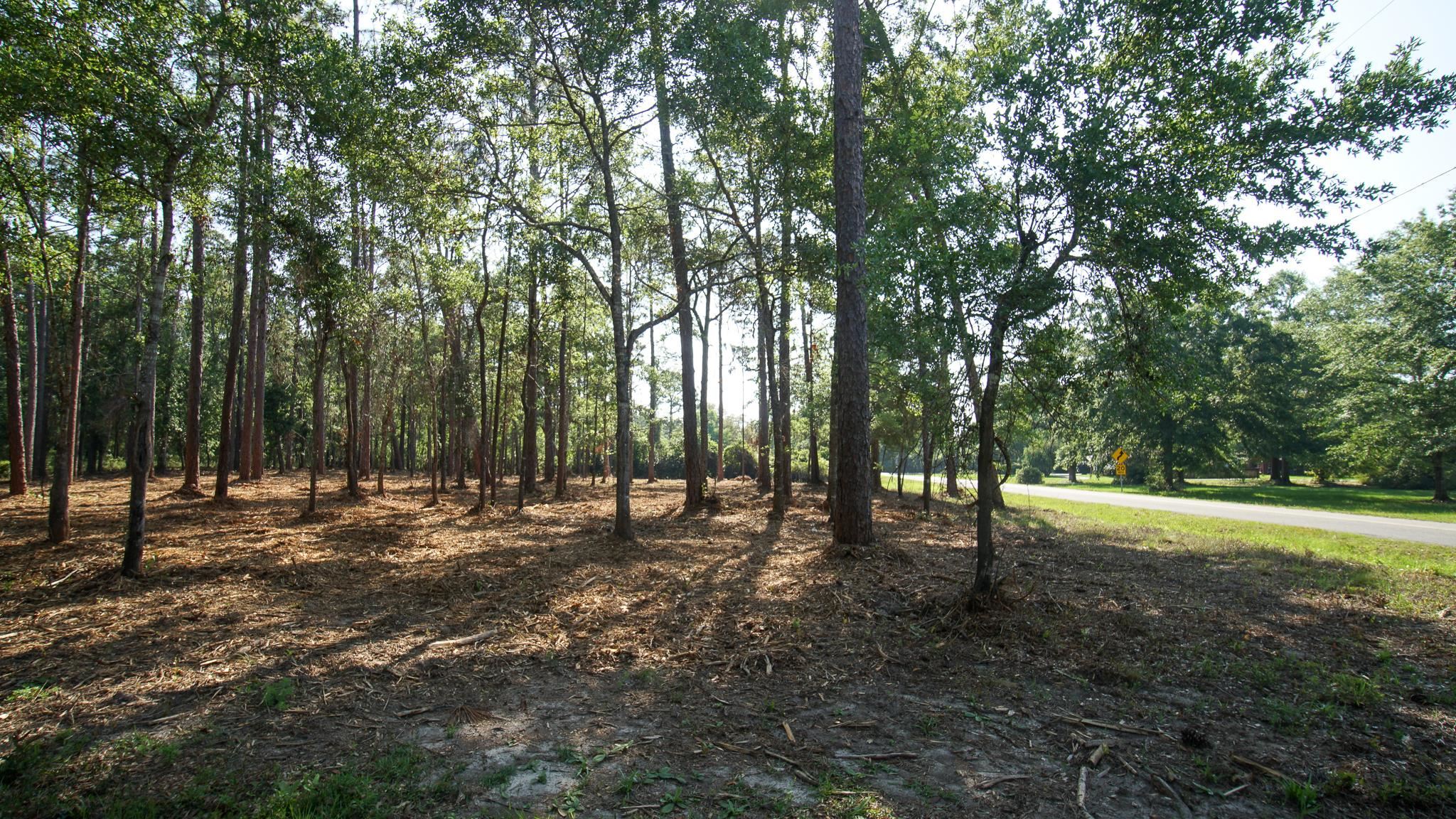 0 Antietam Road Lillian, AL 36549 - Photo 30 of 32