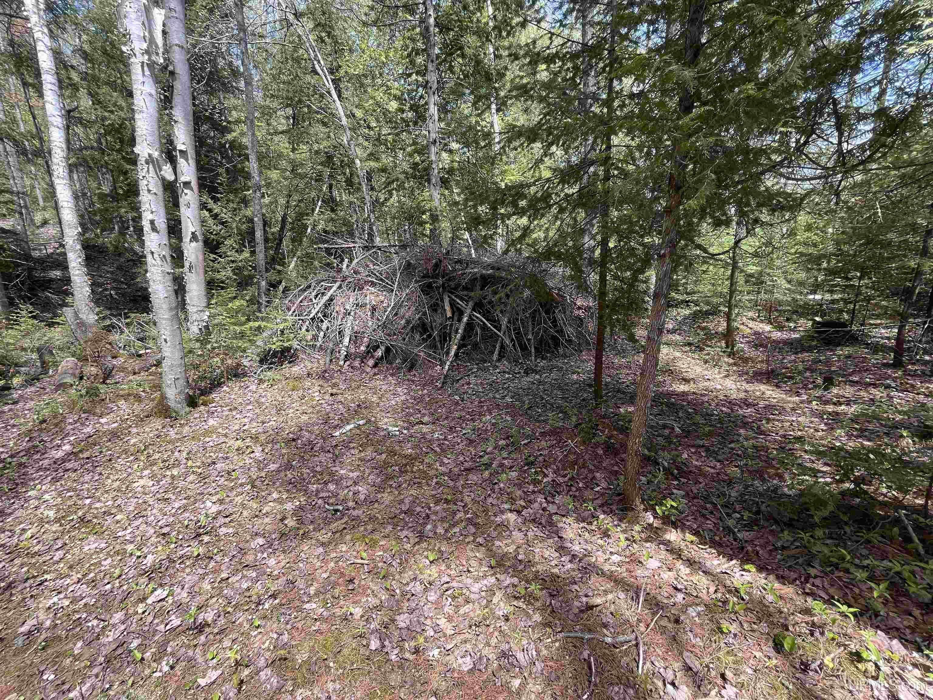 38-acres County Rd NA Road Marquette, MI 49855 - Photo 50 of 70