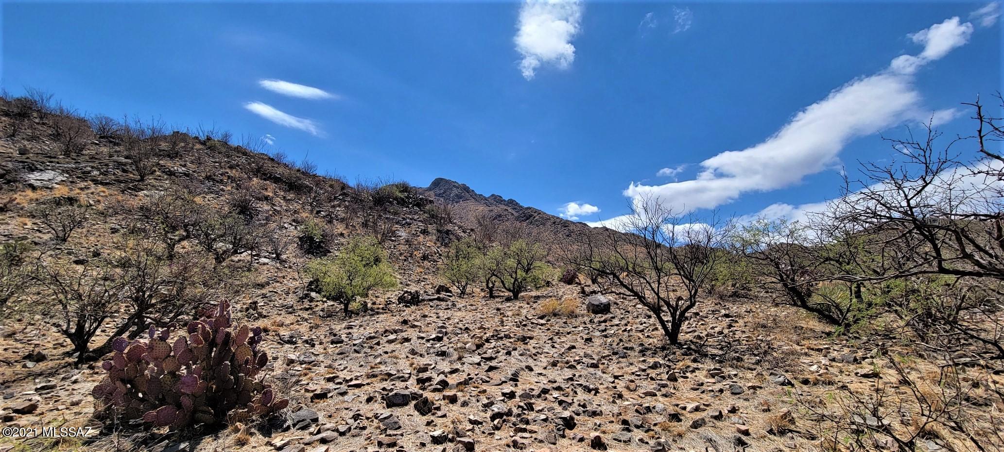 1501 Vía San Cayetano, Unit 25 Rio Rico, AZ 85648 - Photo 15 of 16