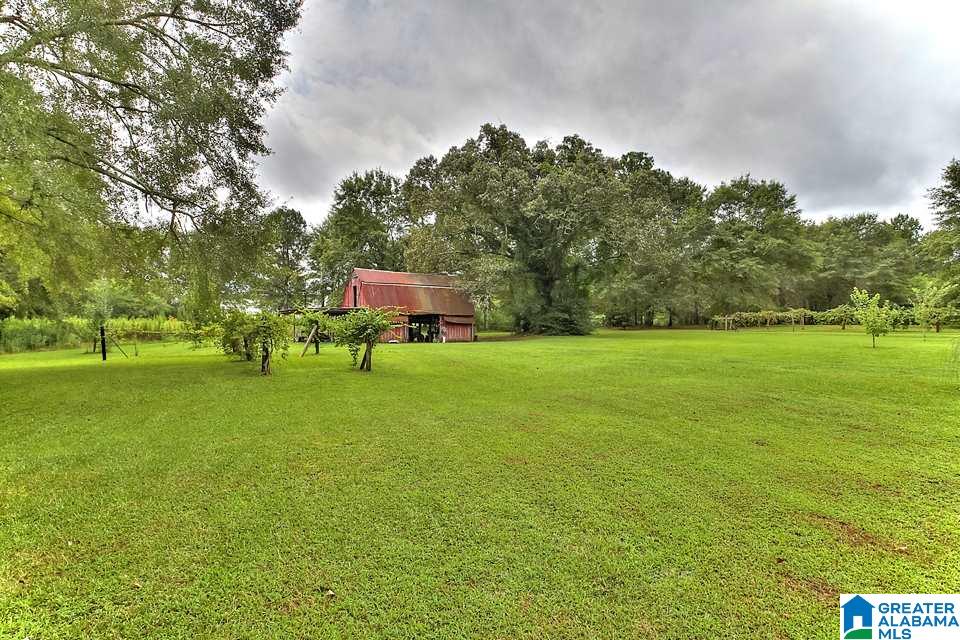 854 Curry Highway Jasper, AL 35503 - Photo 15 of 15