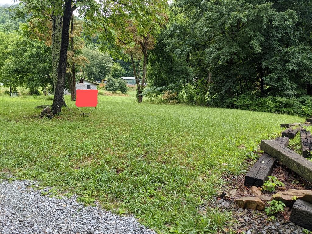 763 Blowing Cave Road Sevierville, TN 37876 - Photo 6 of 8