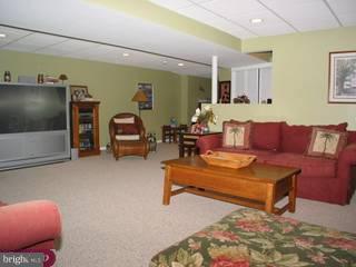 75 Threadleaf Terrace Burlington, NJ 08016 - Photo 5 of 6 Gallery Image 5