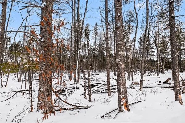 $130,000 | -vl North Pioneer Road, Lake City, MI 49651