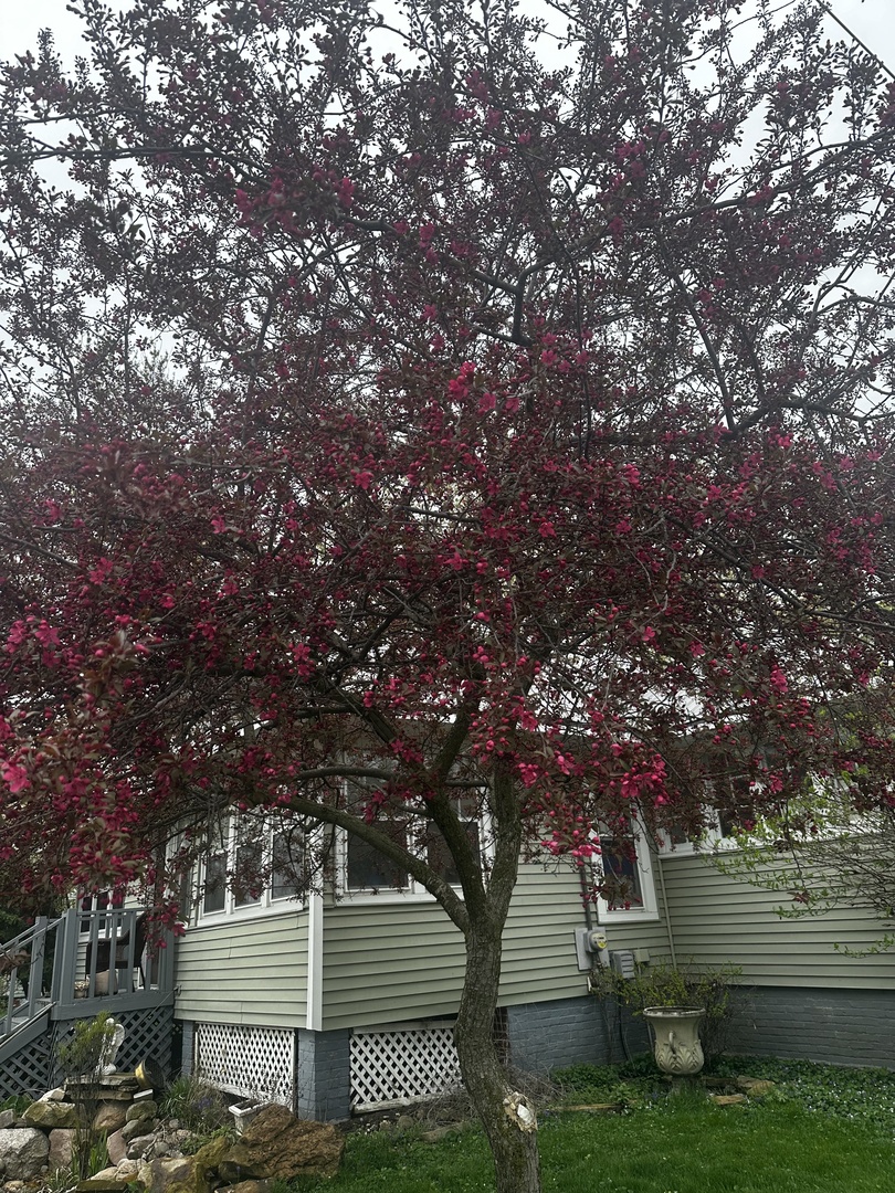 102 East Lincoln Street Pesotum, IL 61863 - Photo 21 of 24 a front view of a house with garden