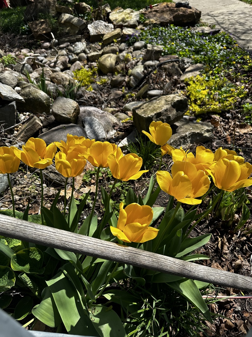 102 East Lincoln Street Pesotum, IL 61863 - Photo 22 of 24 a view of swimming pool from a balcony