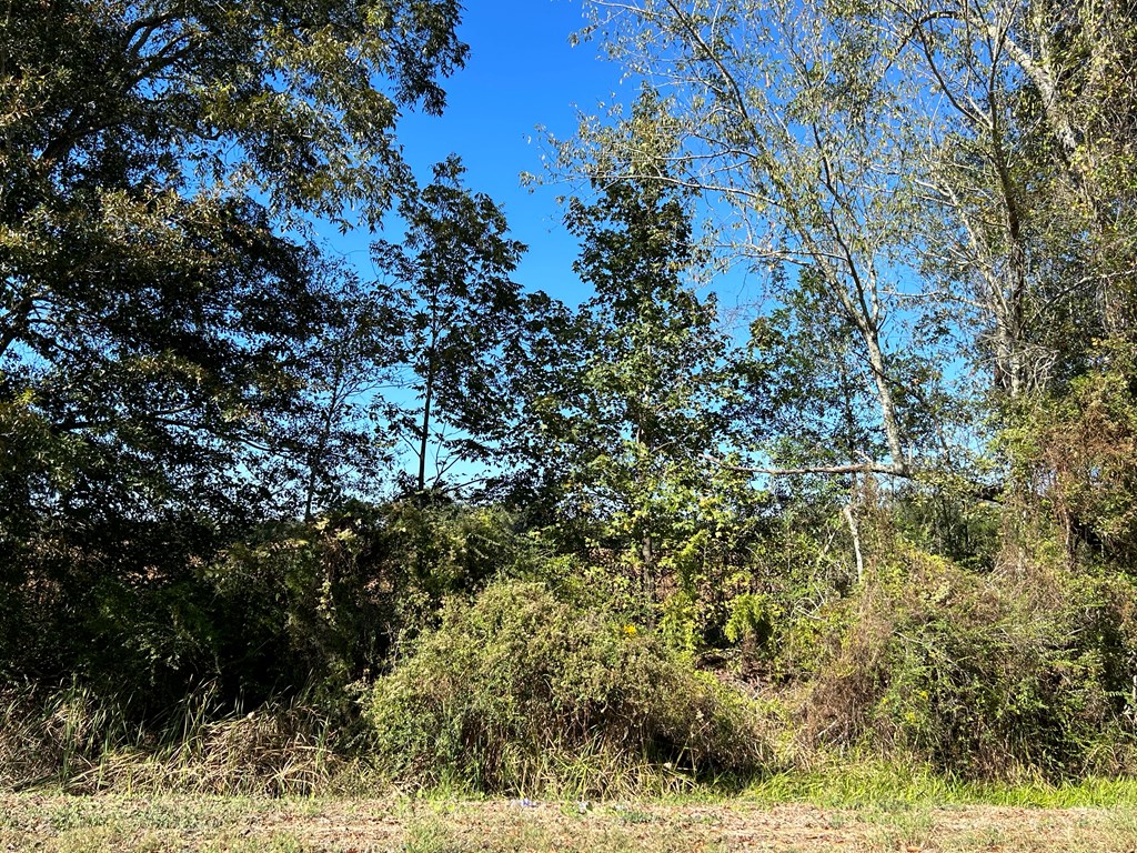 5-ac 5-ac Road Cottonwood, AL 36320 - Photo 6 of 23