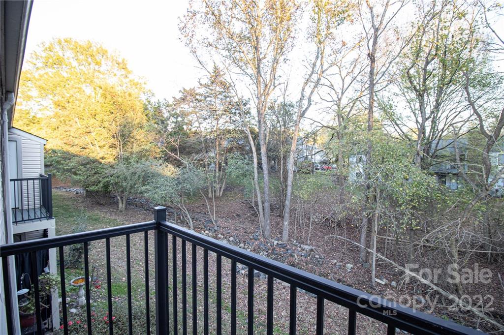 11039 Cedar View Road Charlotte, NC 28226 - Photo 23 of 24 a view of a balcony with yard