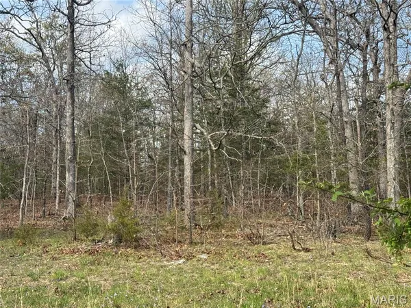 $400,000 | 19219 Highway 133, Dixon, MO 65459