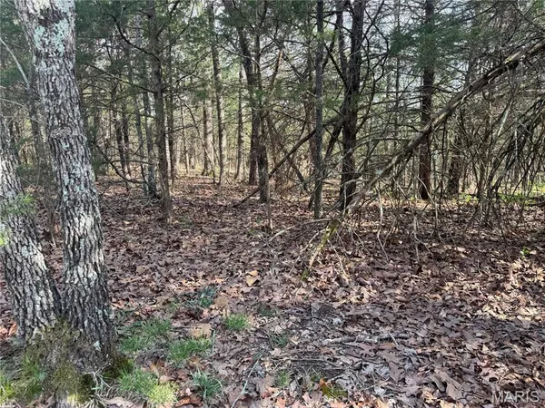 $400,000 | 19219 Highway 133, Dixon, MO 65459