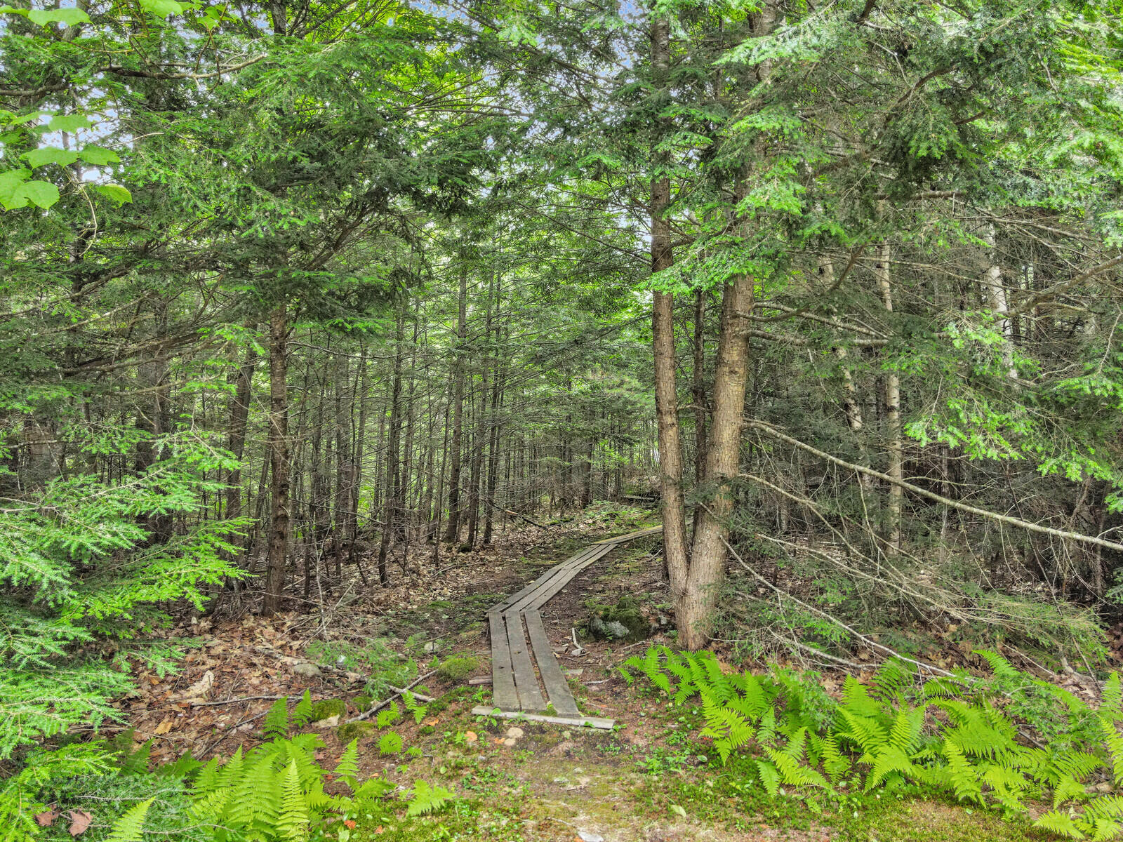 102 Chester Thwing Road Belgrade, ME 04917 - Photo 143 of 163 16_DJI_0971_DxO_mls