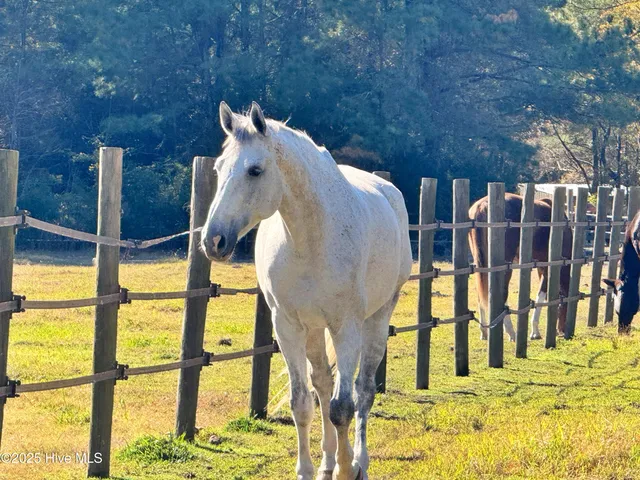 $879,000 | 11 Bullens Creek Drive, New Bern, NC 28562