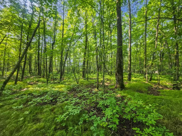 $84,900 | 28017 303rd Place, Aitkin, MN 56431