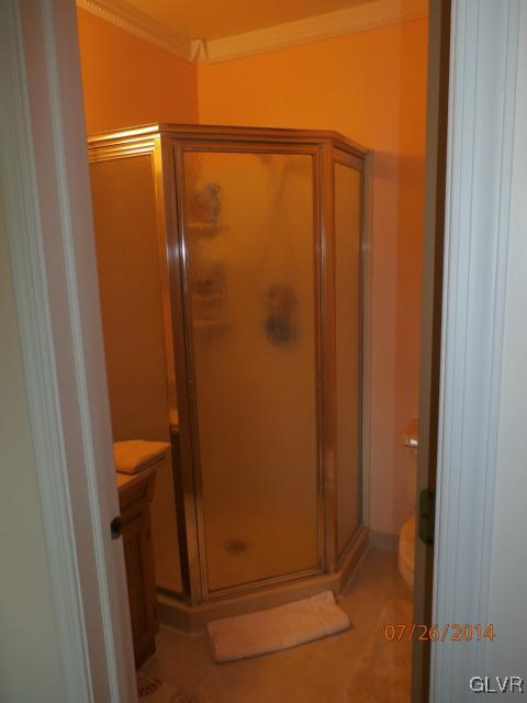 231 Flint Hill Road Alburtis, PA 18011 - Photo 10 of 11 Gallery Image 10