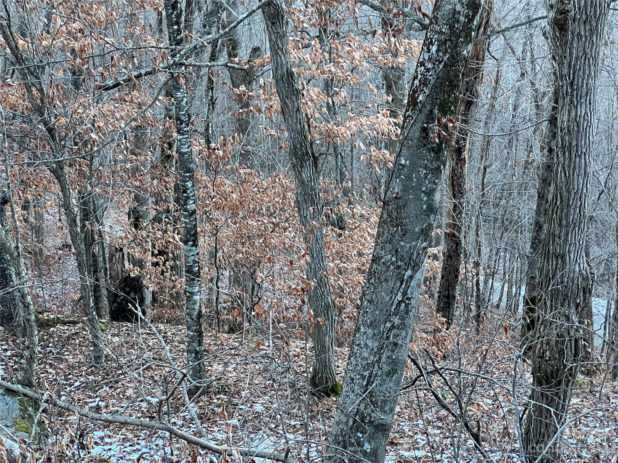 0 Weaver Lane, Unit 182 Mars Hill, NC 28754 - Photo 1 of 7