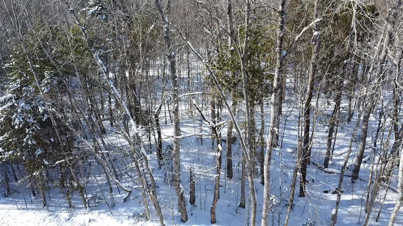 Lot 7 Curtis Farm Road Lincoln, ME 04457 - Photo 16 of 21