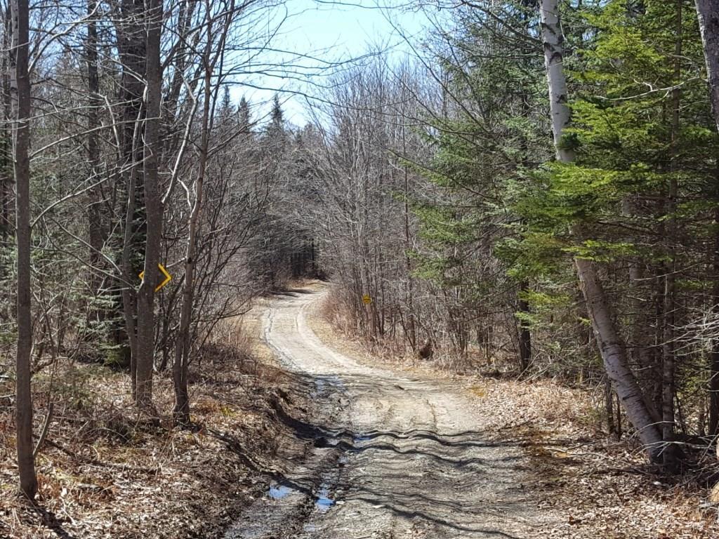 201 A Back Street Upton, ME 04261 - Photo 9 of 10 Right of Way into seller's property...