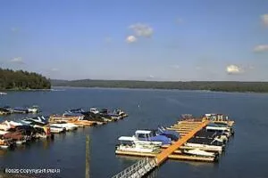 a backyard with a fountain plants and large trees