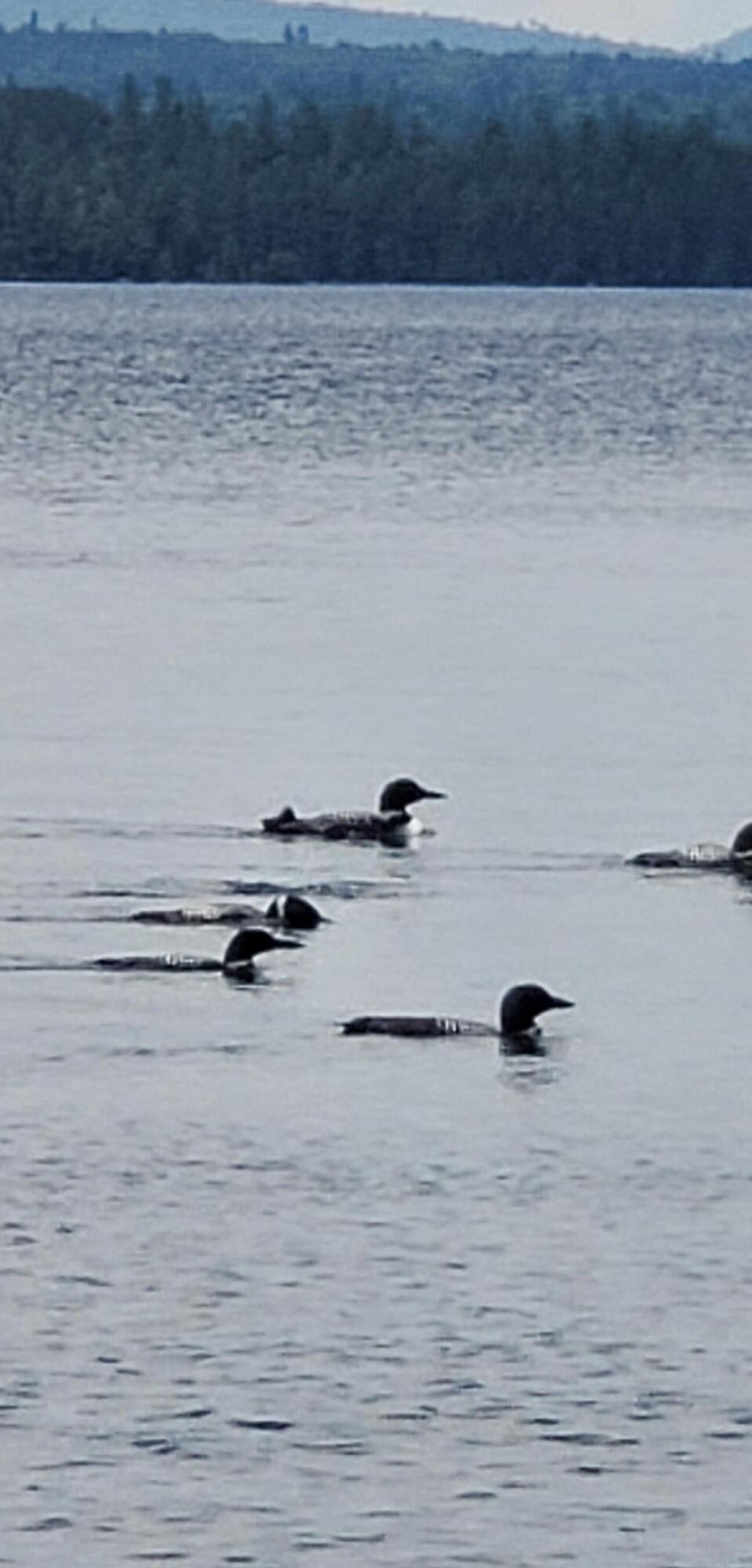 13 Bennett Brook Road Willimantic, ME 04443 - Photo 37 of 45 20220724_152520_resized