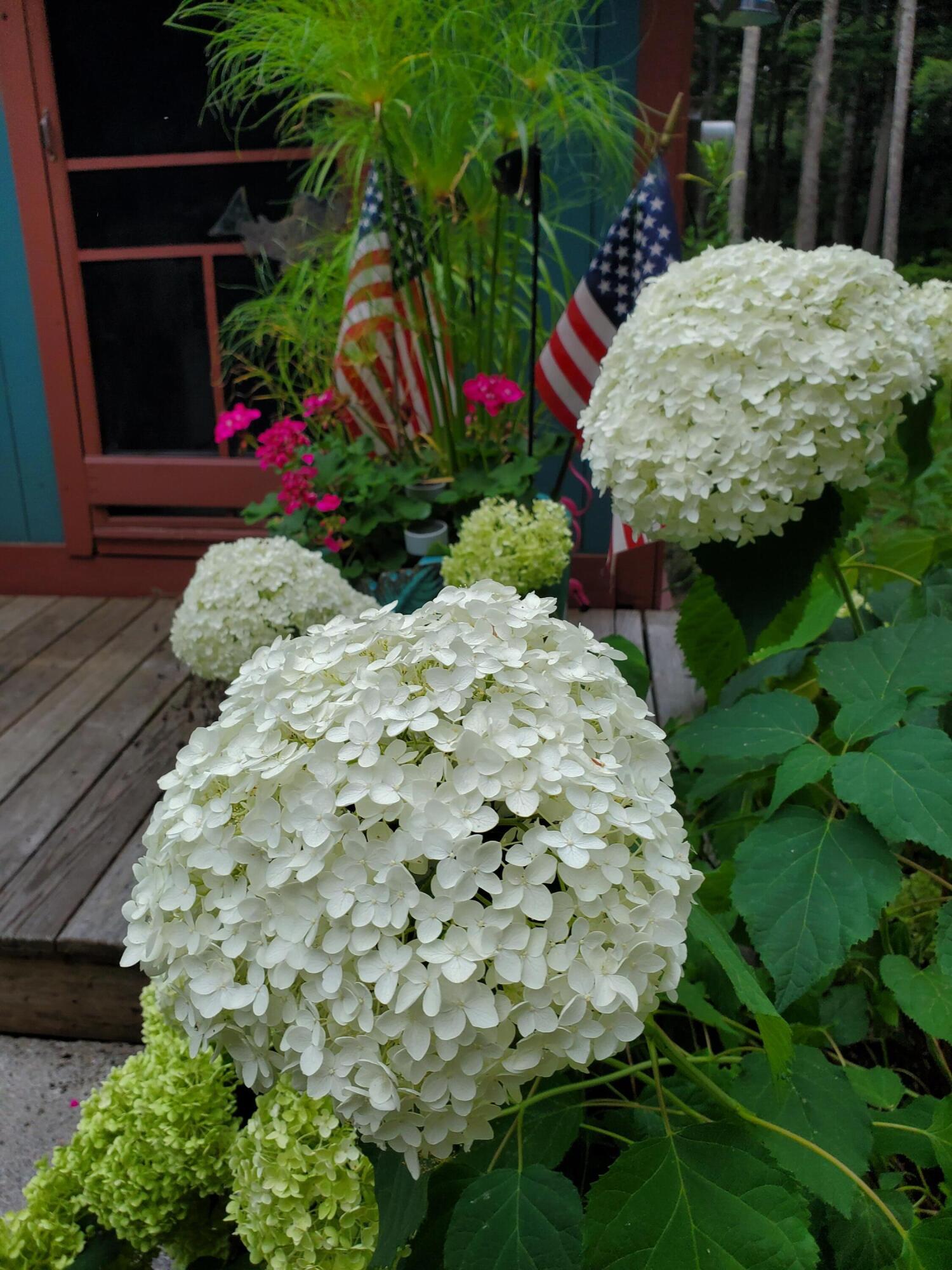 13 Bennett Brook Road Willimantic, ME 04443 - Photo 38 of 45 20220807_164453