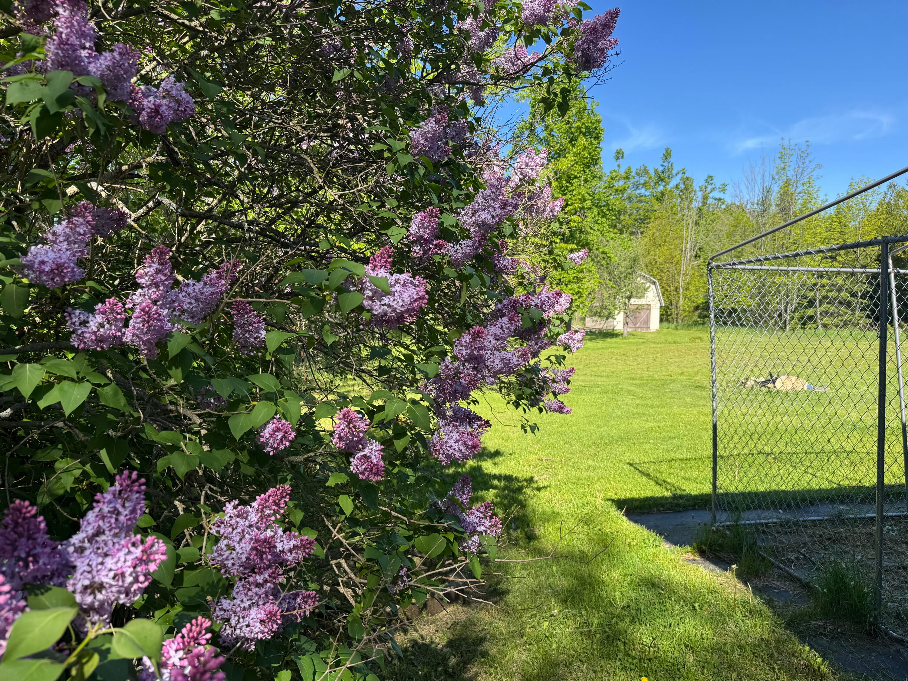 6234 French Road Alpena, MI 49707 - Photo 2 of 15 IMG_0164