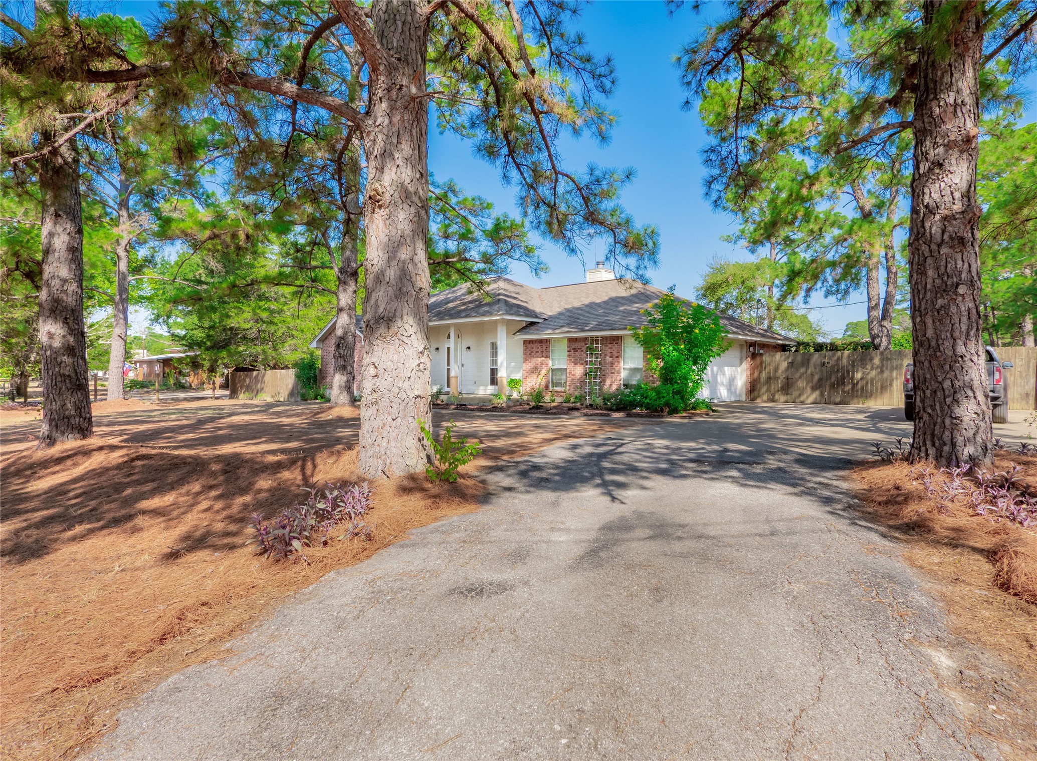 228 Old Firetower Road Bastrop, TX 78602 - Photo 3 of 40