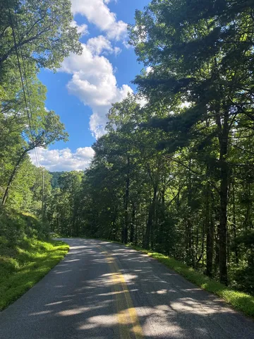 a big yard with lots of green space and trees