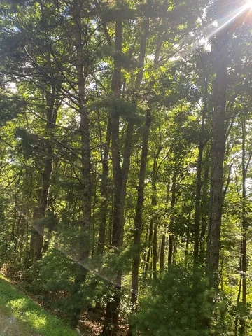 $62,000 | Lot 47 Mountain Top Blairsville Ga 30512, Blairsville, GA 30512