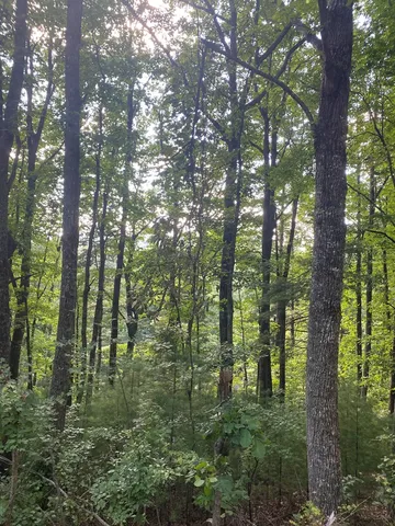 $62,000 | Lot 47 Mountain Top Blairsville Ga 30512, Blairsville, GA 30512