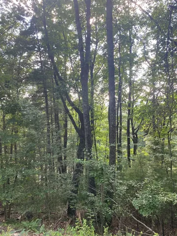 $62,000 | Lot 47 Mountain Top Blairsville Ga 30512, Blairsville, GA 30512