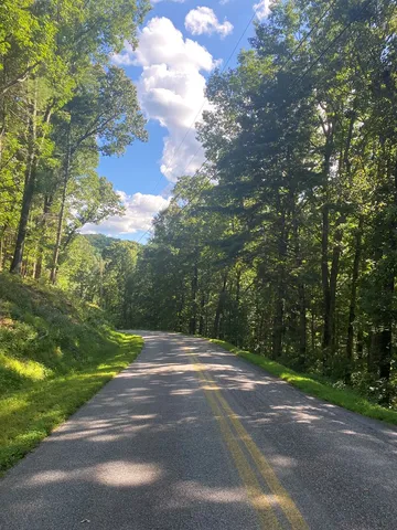 a backyard of a house with lots of trees