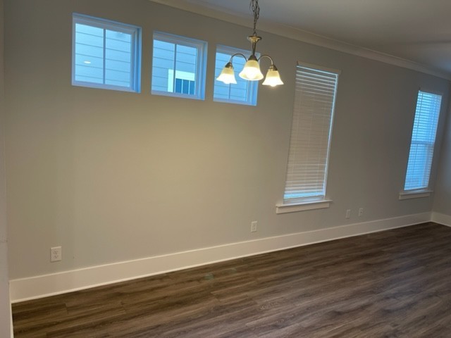 525 Black Tea Way Franklin, TN 37064 - Photo 28 of 51 wooden floor in an empty room with a window