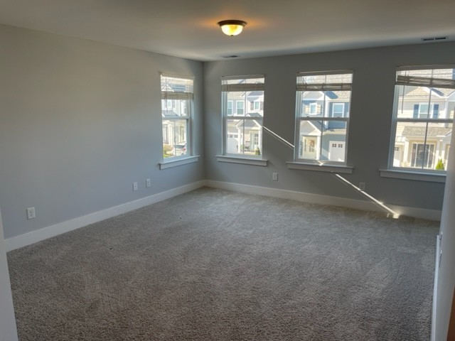 525 Black Tea Way Franklin, TN 37064 - Photo 34 of 51 an empty room with windows