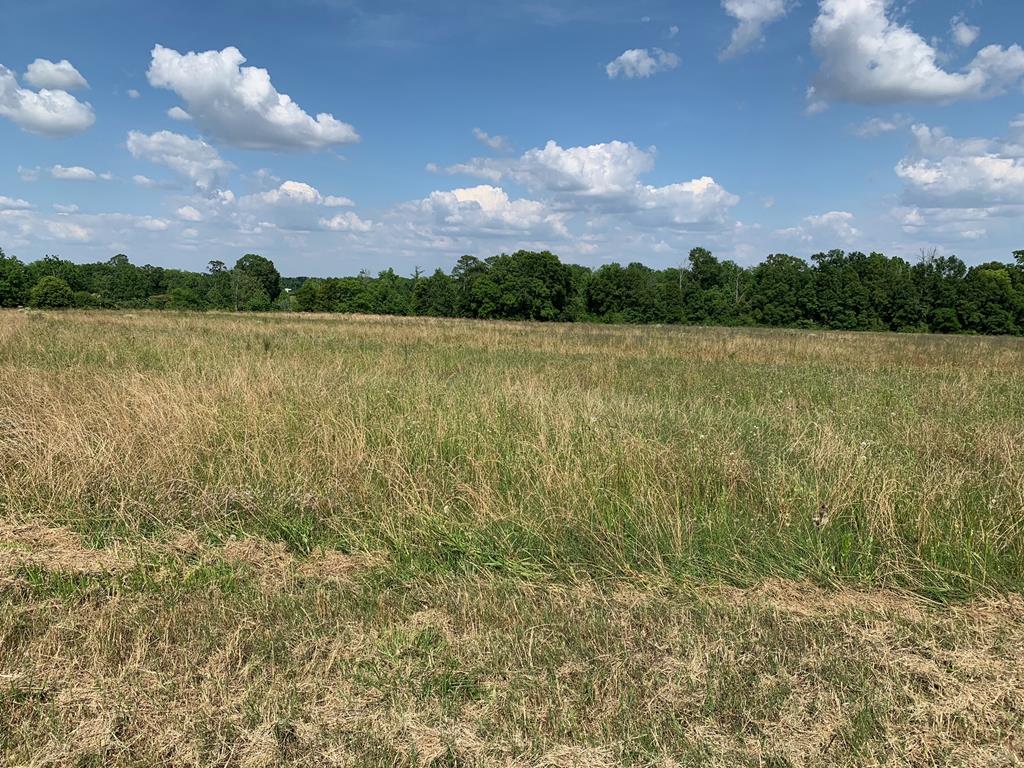 Lot 2 South Co Road Ashford, AL 36312 - Photo 1 of 11